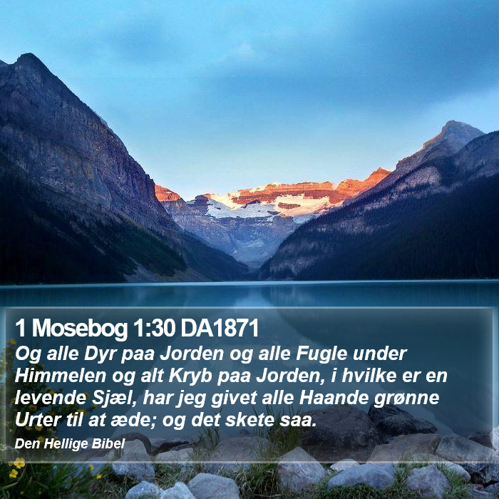 1 Mosebog 1:30 DA1871 Bible Study