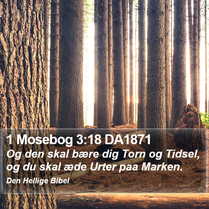 1 Mosebog 3:18 DA1871 Bible Study