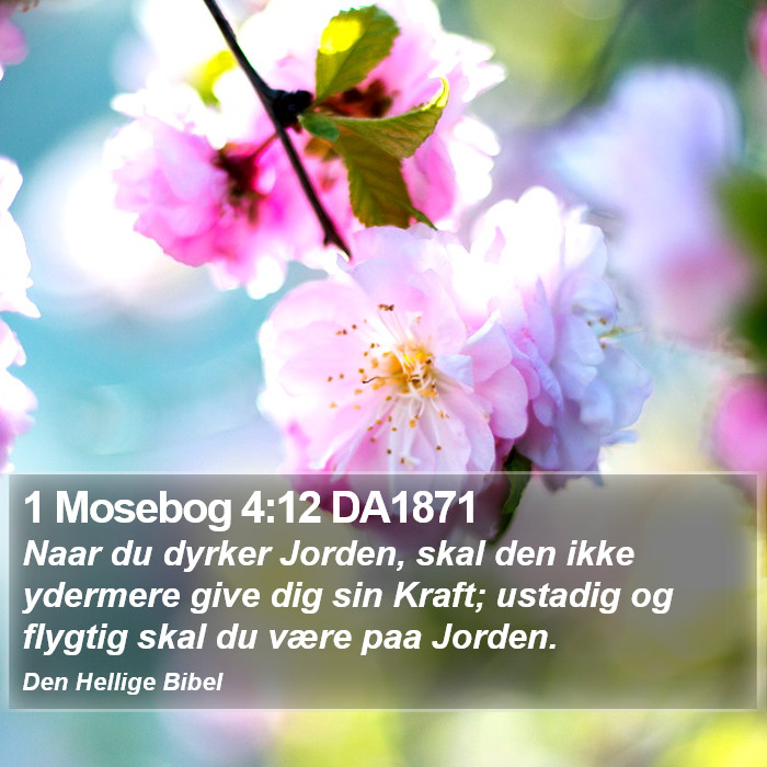 1 Mosebog 4:12 DA1871 Bible Study