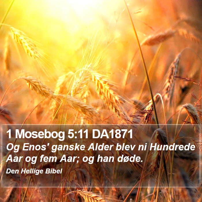 1 Mosebog 5:11 DA1871 Bible Study