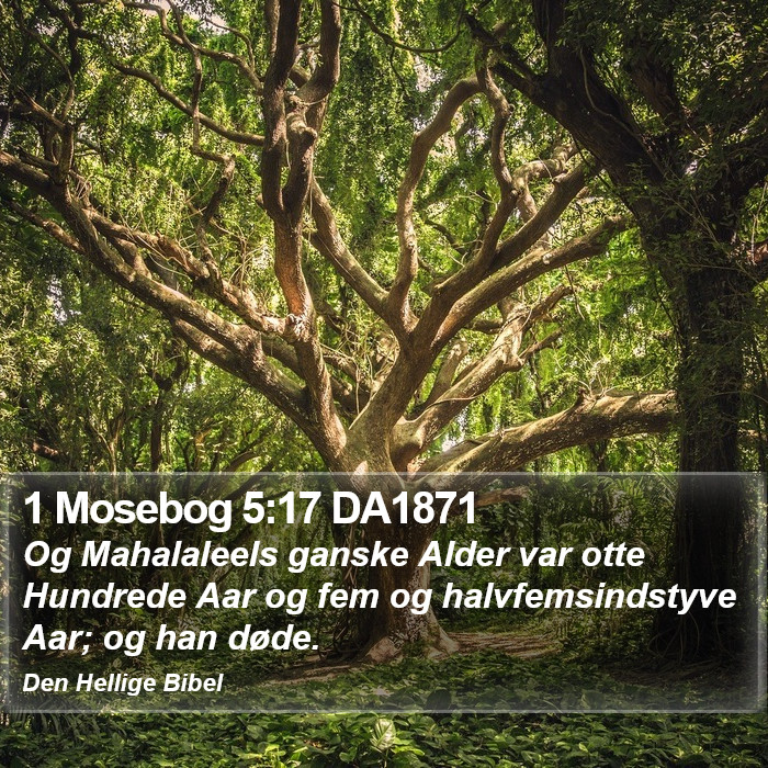 1 Mosebog 5:17 DA1871 Bible Study