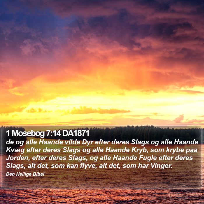 1 Mosebog 7:14 DA1871 Bible Study