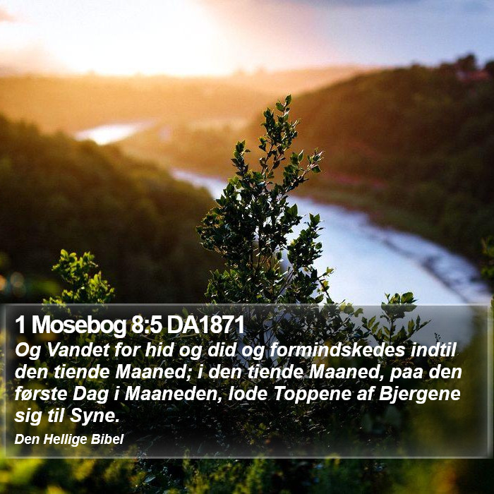 1 Mosebog 8:5 DA1871 Bible Study