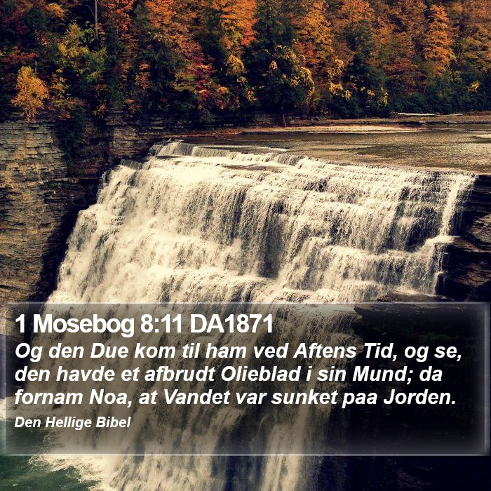 1 Mosebog 8:11 DA1871 Bible Study