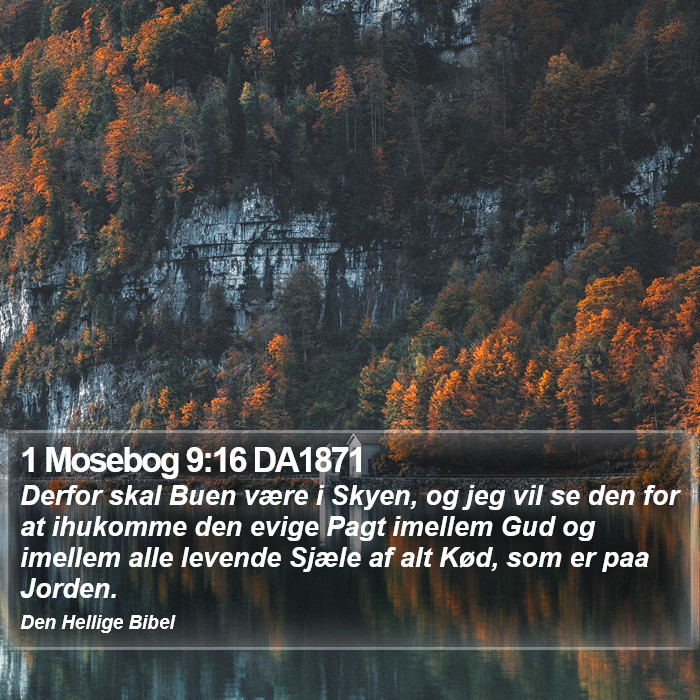 1 Mosebog 9:16 DA1871 Bible Study