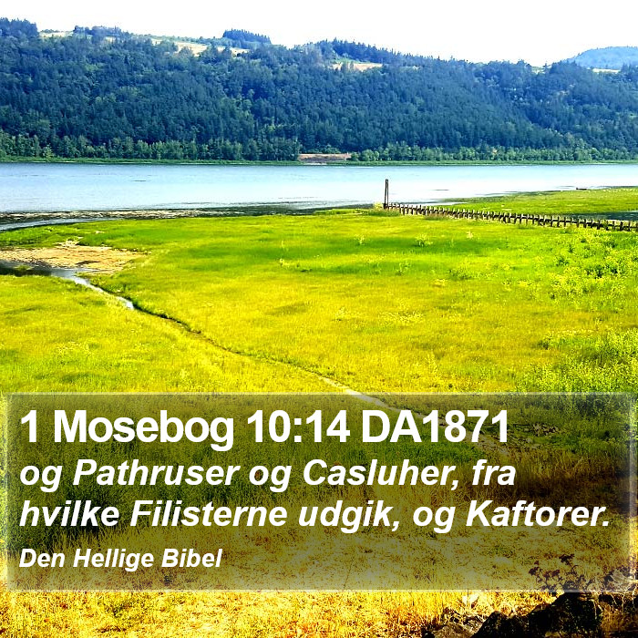 1 Mosebog 10:14 DA1871 Bible Study