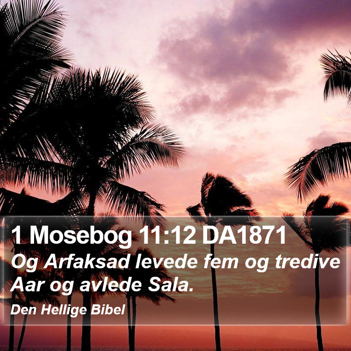 1 Mosebog 11:12 DA1871 Bible Study