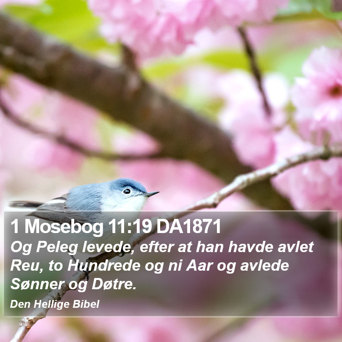 1 Mosebog 11:19 DA1871 Bible Study