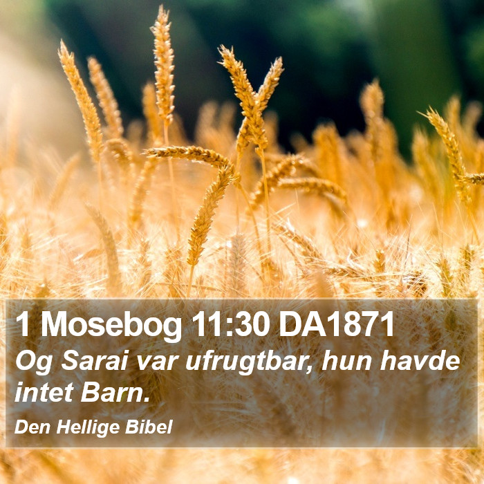 1 Mosebog 11:30 DA1871 Bible Study
