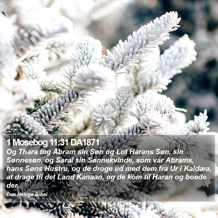 1 Mosebog 11:31 DA1871 Bible Study
