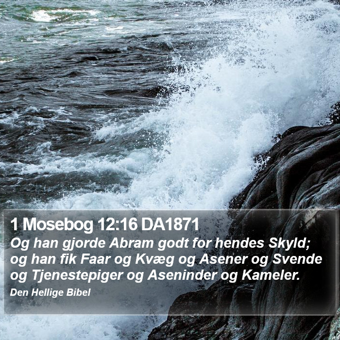 1 Mosebog 12:16 DA1871 Bible Study