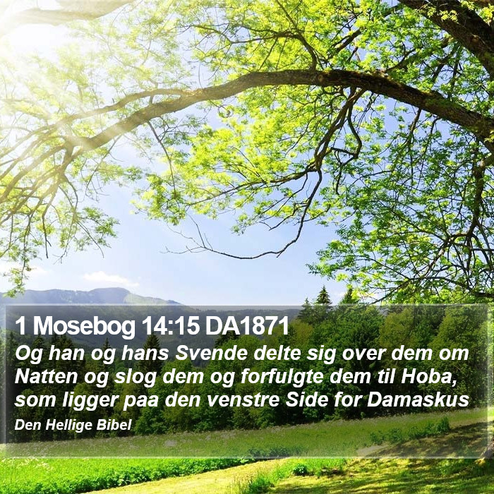 1 Mosebog 14:15 DA1871 Bible Study