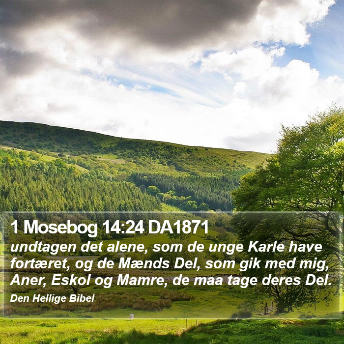 1 Mosebog 14:24 DA1871 Bible Study