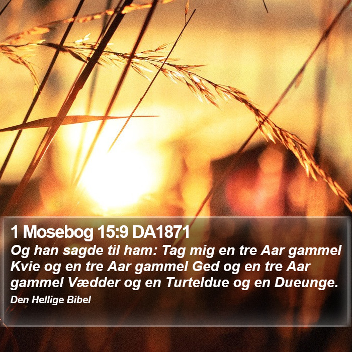 1 Mosebog 15:9 DA1871 Bible Study