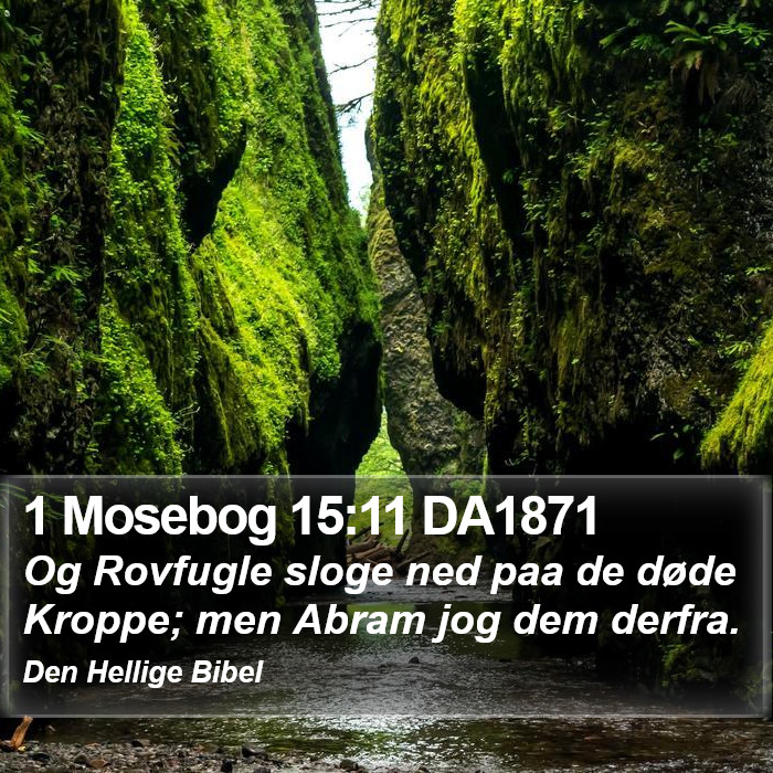 1 Mosebog 15:11 DA1871 Bible Study