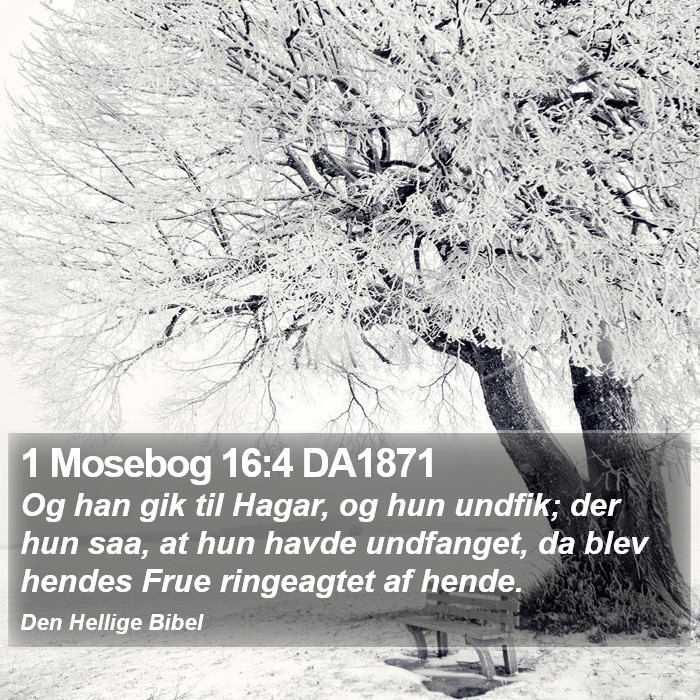1 Mosebog 16:4 DA1871 Bible Study