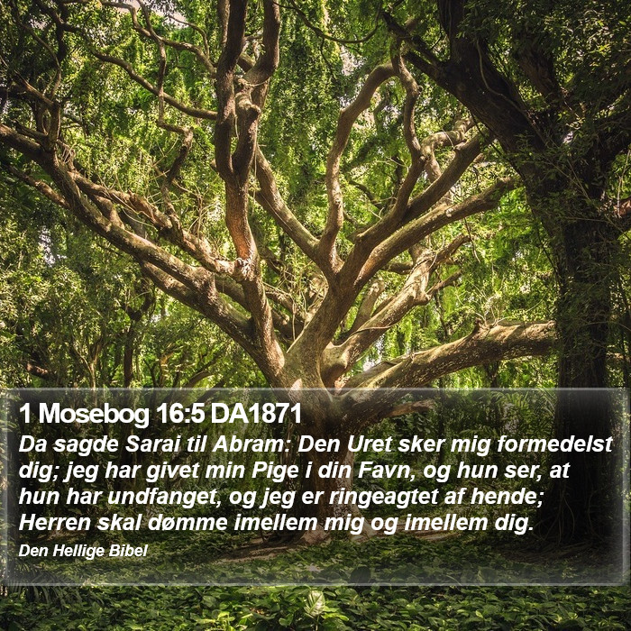 1 Mosebog 16:5 DA1871 Bible Study