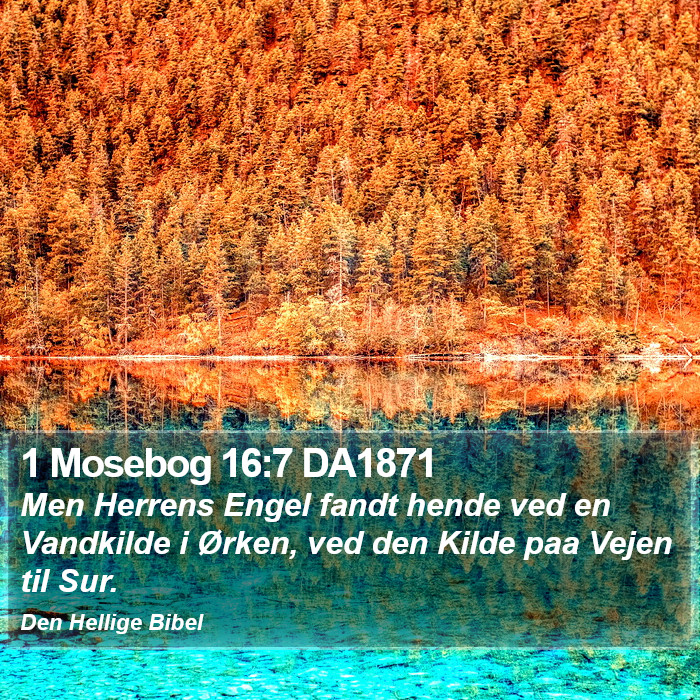 1 Mosebog 16:7 DA1871 Bible Study