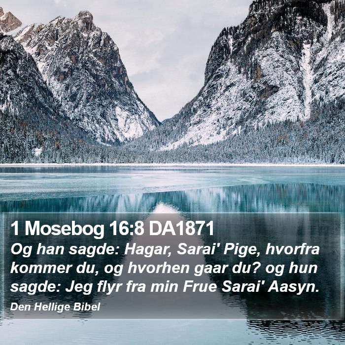 1 Mosebog 16:8 DA1871 Bible Study