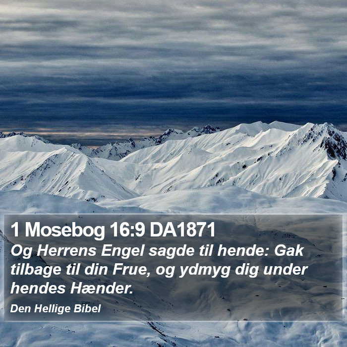 1 Mosebog 16:9 DA1871 Bible Study