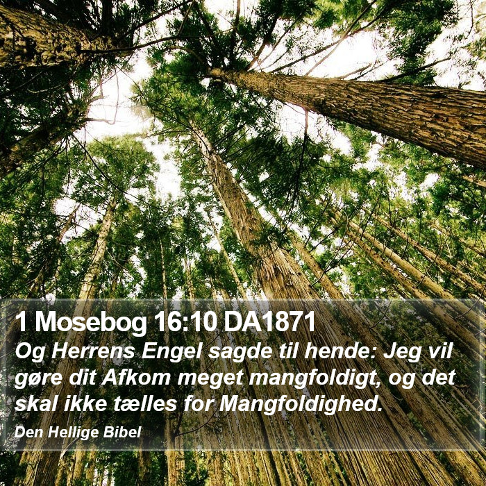 1 Mosebog 16:10 DA1871 Bible Study