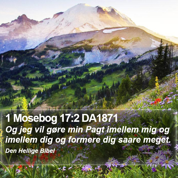 1 Mosebog 17:2 DA1871 Bible Study