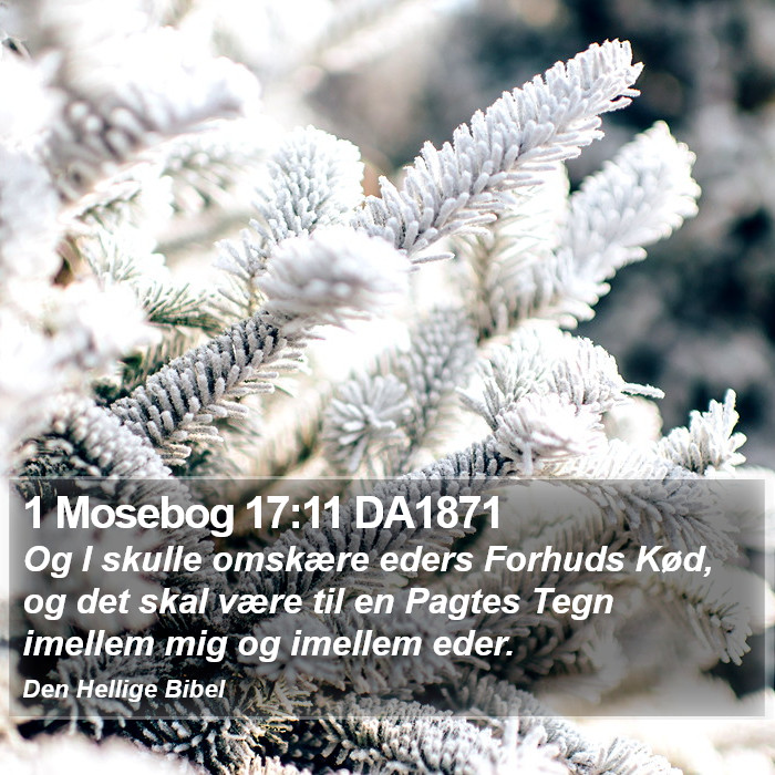 1 Mosebog 17:11 DA1871 Bible Study