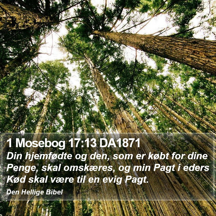 1 Mosebog 17:13 DA1871 Bible Study