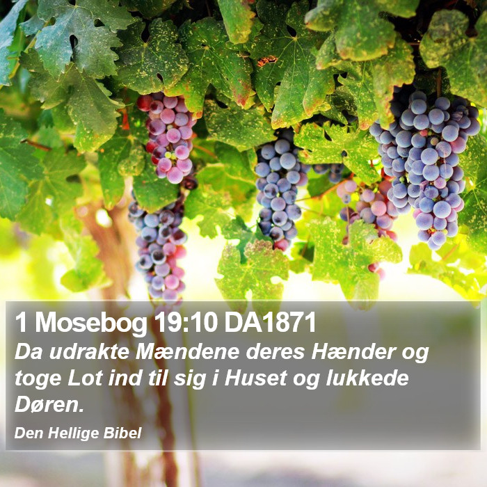 1 Mosebog 19:10 DA1871 Bible Study