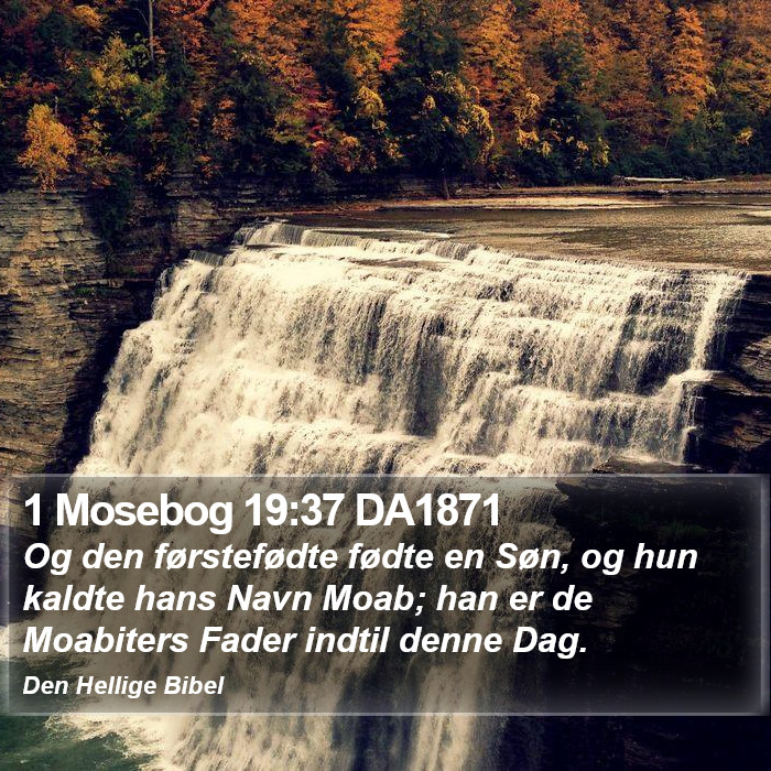 1 Mosebog 19:37 DA1871 Bible Study