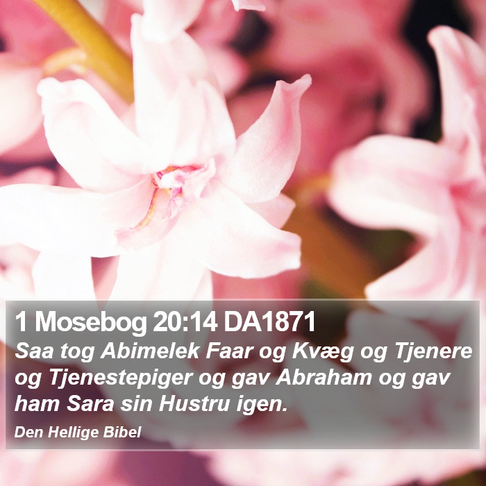 1 Mosebog 20:14 DA1871 Bible Study