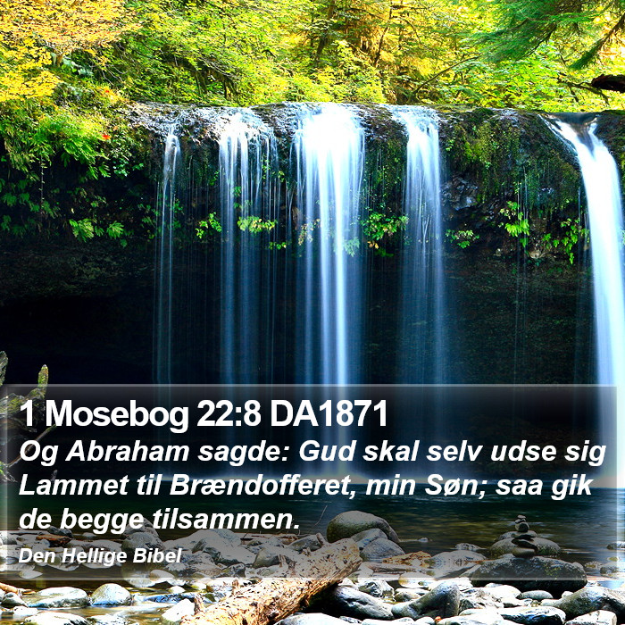 1 Mosebog 22:8 DA1871 Bible Study