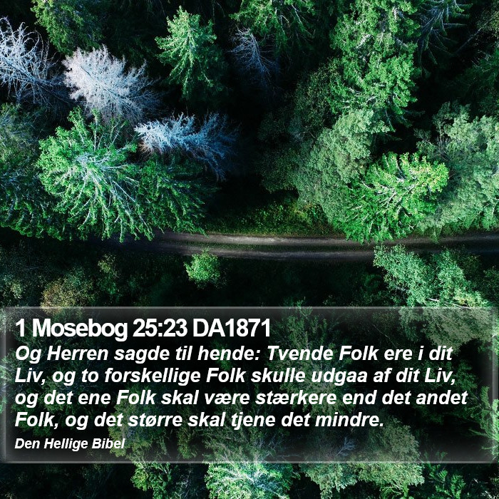 1 Mosebog 25:23 DA1871 Bible Study