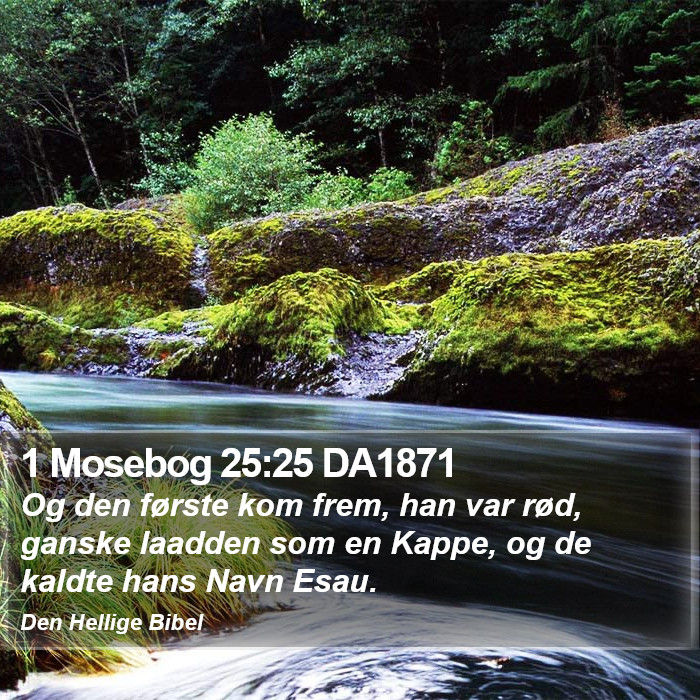 1 Mosebog 25:25 DA1871 Bible Study