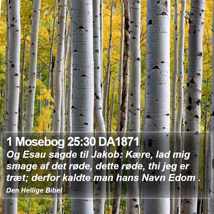 1 Mosebog 25:30 DA1871 Bible Study