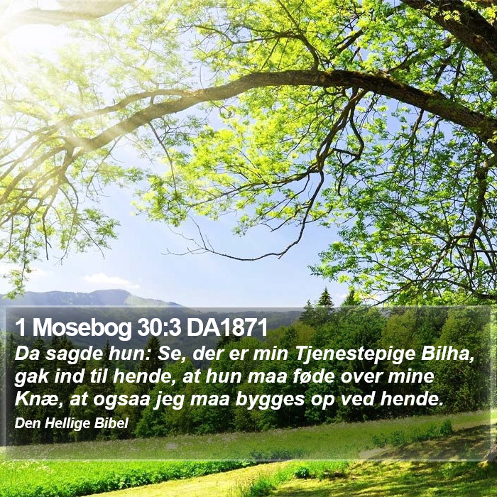 1 Mosebog 30:3 DA1871 Bible Study