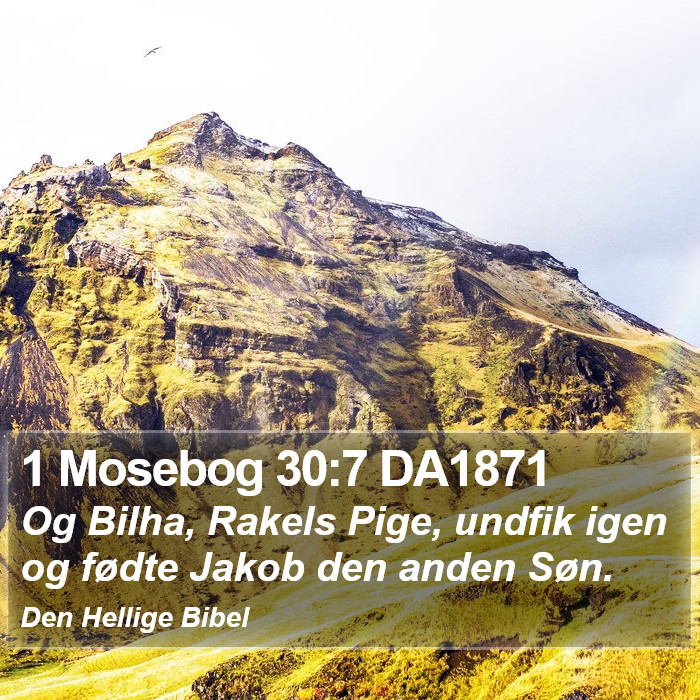 1 Mosebog 30:7 DA1871 Bible Study