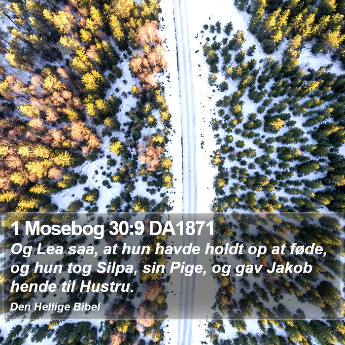 1 Mosebog 30:9 DA1871 Bible Study