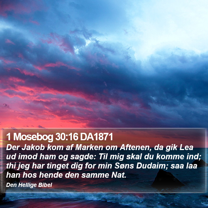 1 Mosebog 30:16 DA1871 Bible Study