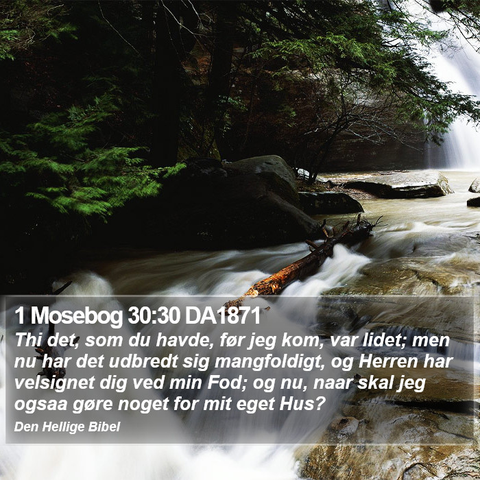 1 Mosebog 30:30 DA1871 Bible Study