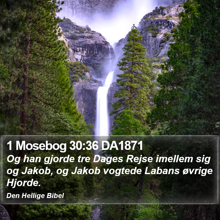 1 Mosebog 30:36 DA1871 Bible Study