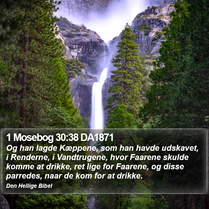 1 Mosebog 30:38 DA1871 Bible Study