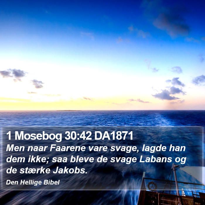 1 Mosebog 30:42 DA1871 Bible Study