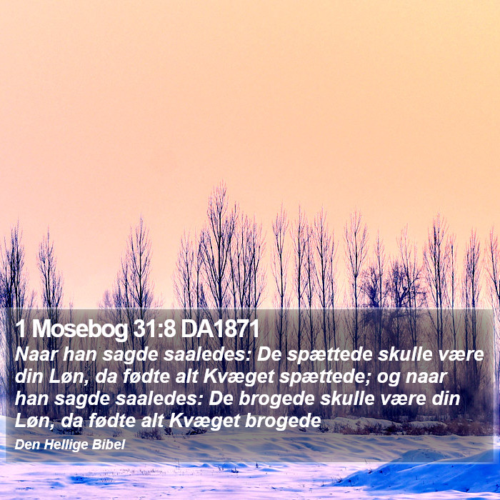 1 Mosebog 31:8 DA1871 Bible Study