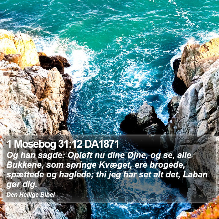 1 Mosebog 31:12 DA1871 Bible Study