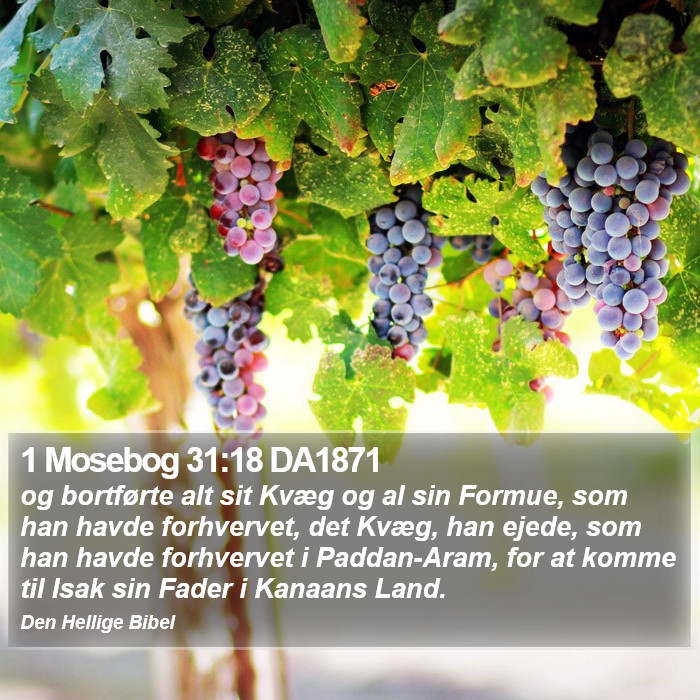 1 Mosebog 31:18 DA1871 Bible Study