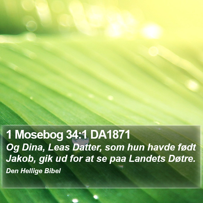 1 Mosebog 34:1 DA1871 Bible Study