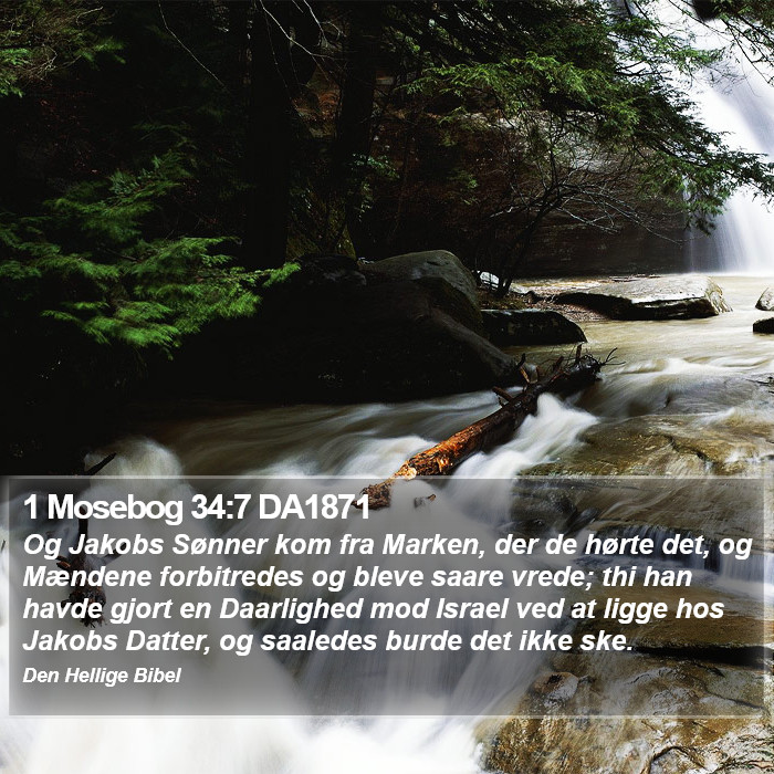 1 Mosebog 34:7 DA1871 Bible Study