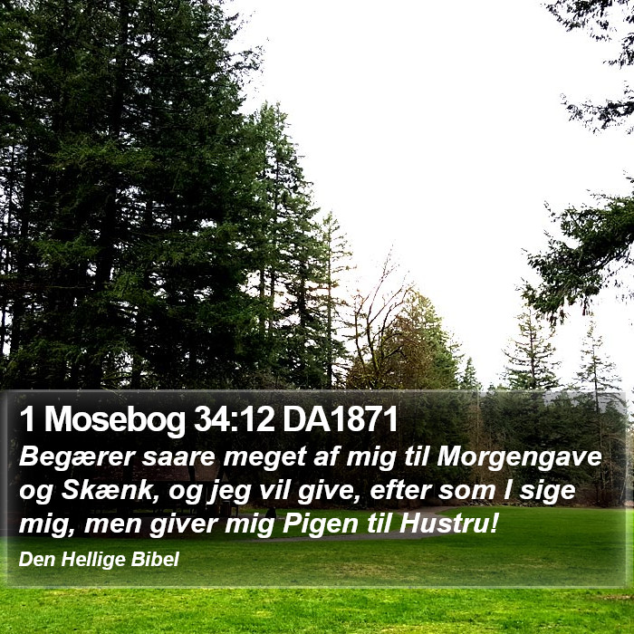 1 Mosebog 34:12 DA1871 Bible Study