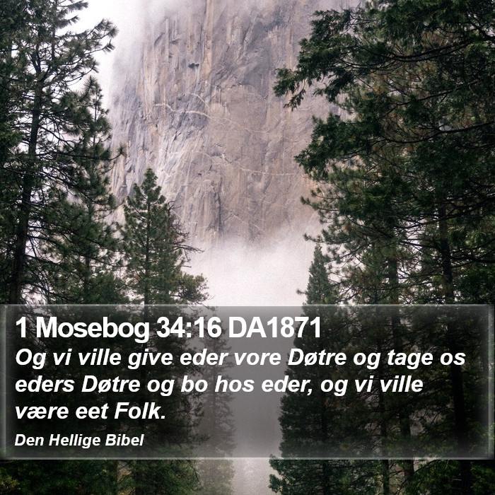 1 Mosebog 34:16 DA1871 Bible Study